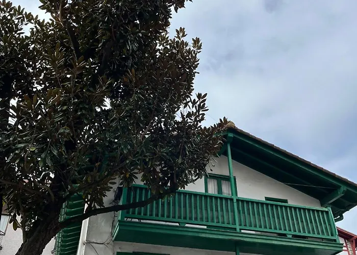 San Pedro By Basquelidays *