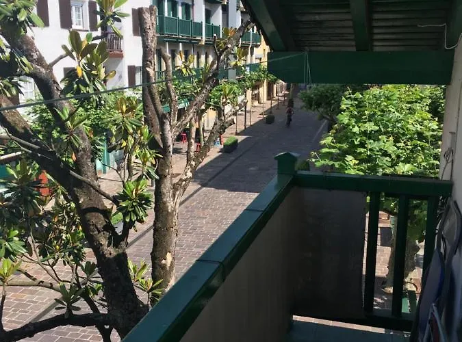 San Pedro By Basquelidays